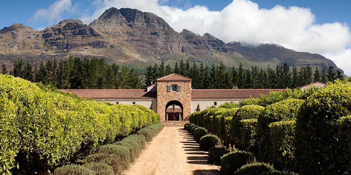 Sip, Learn, Explore: Wine Culture in Africa
